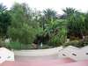 Jumeirah Beach Club Resort & Spa 
